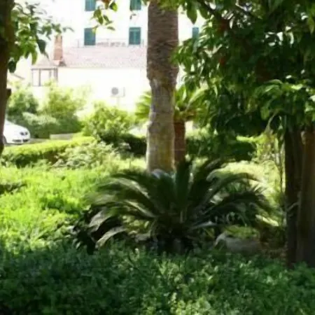 Hotel Micika 3*