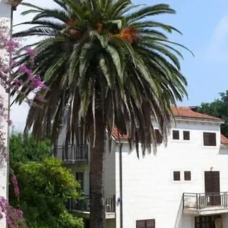 Hotel Micika 3*